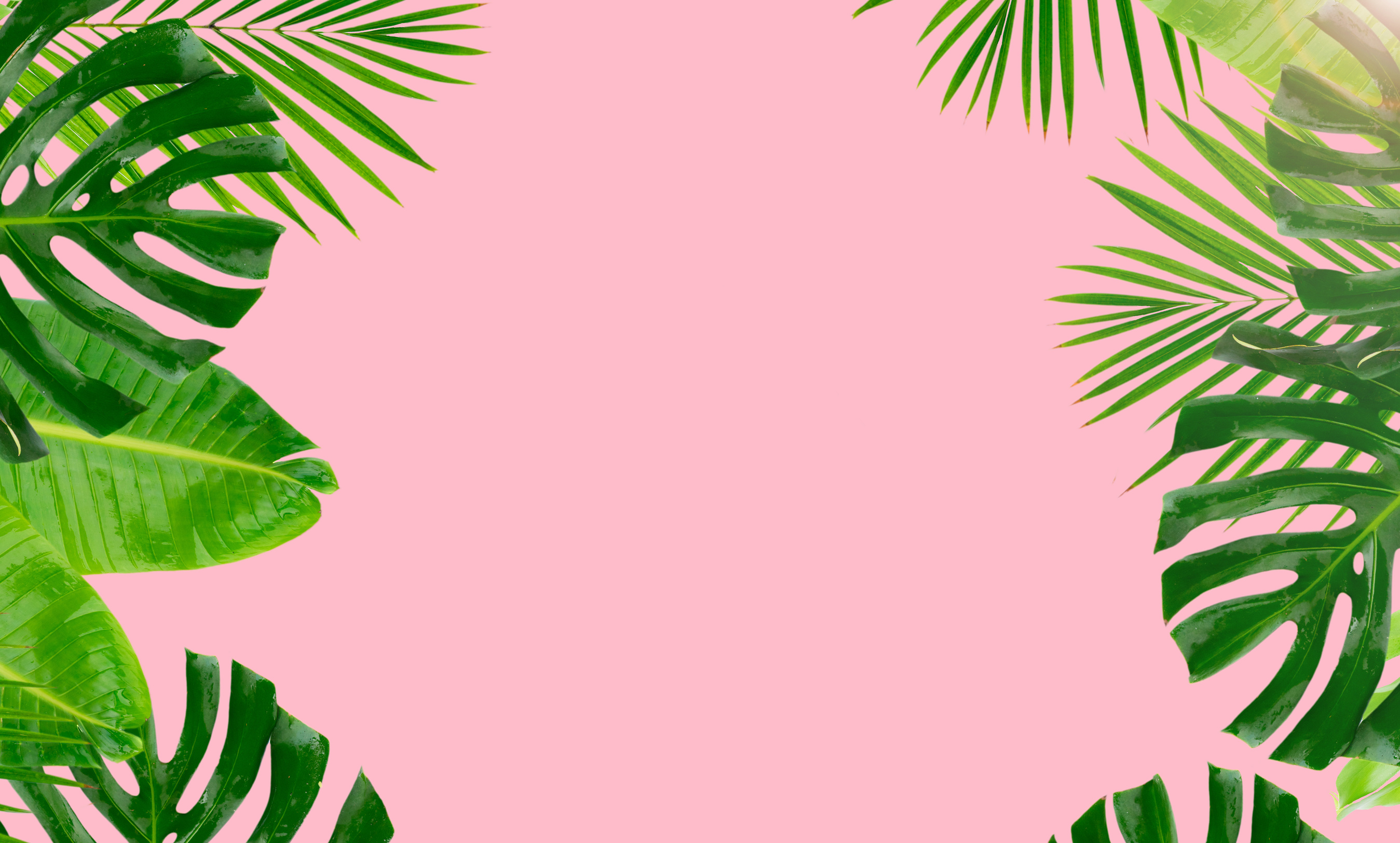 Tropical Green Leaves